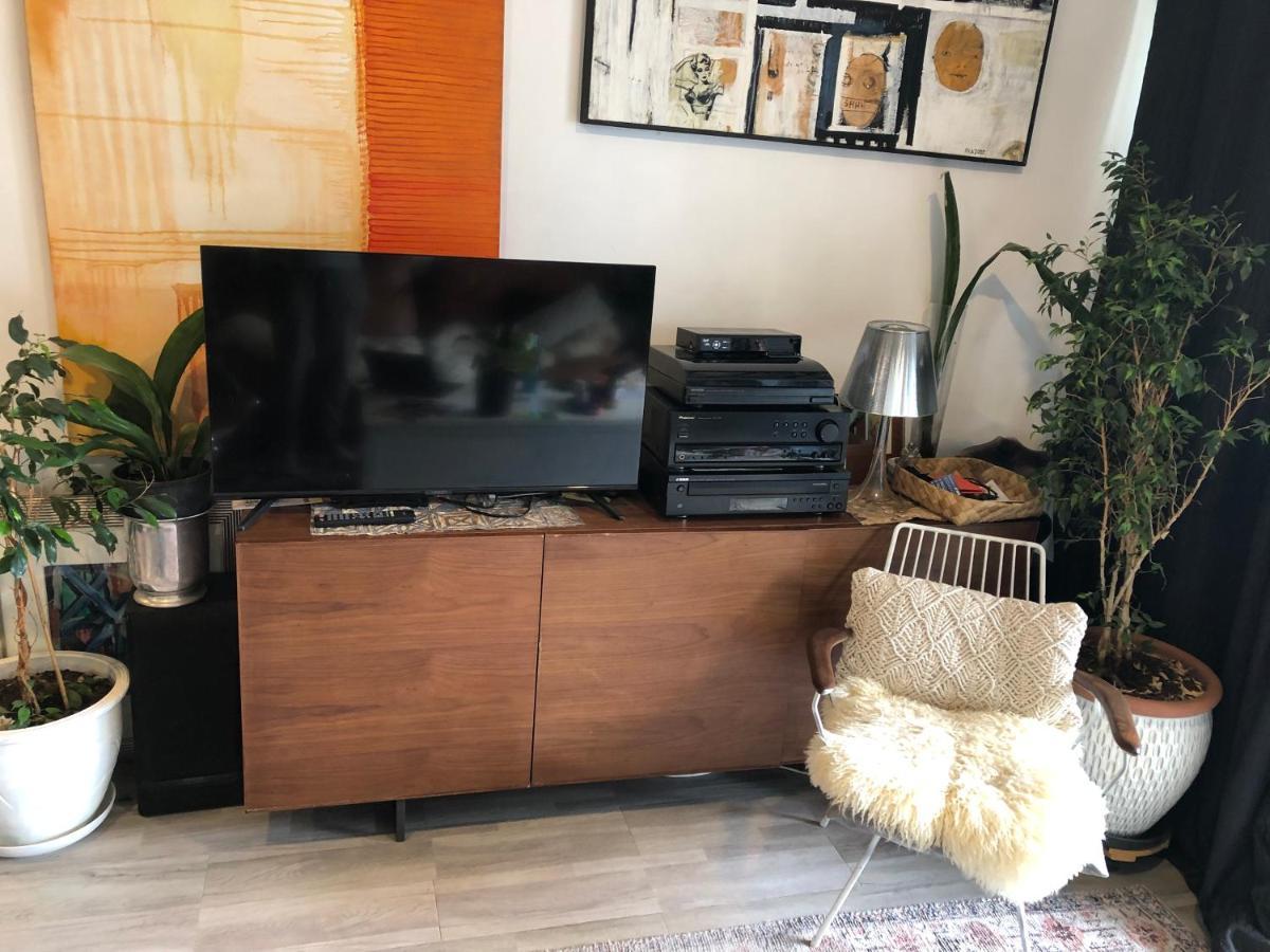 Cool Apartment, Central To Everything, Share With 2X Bulldogs Auckland Exteriör bild