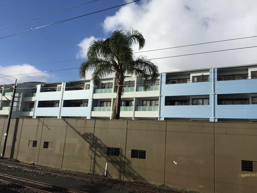 Cool Apartment, Central To Everything, Share With 2X Bulldogs Auckland Exteriör bild